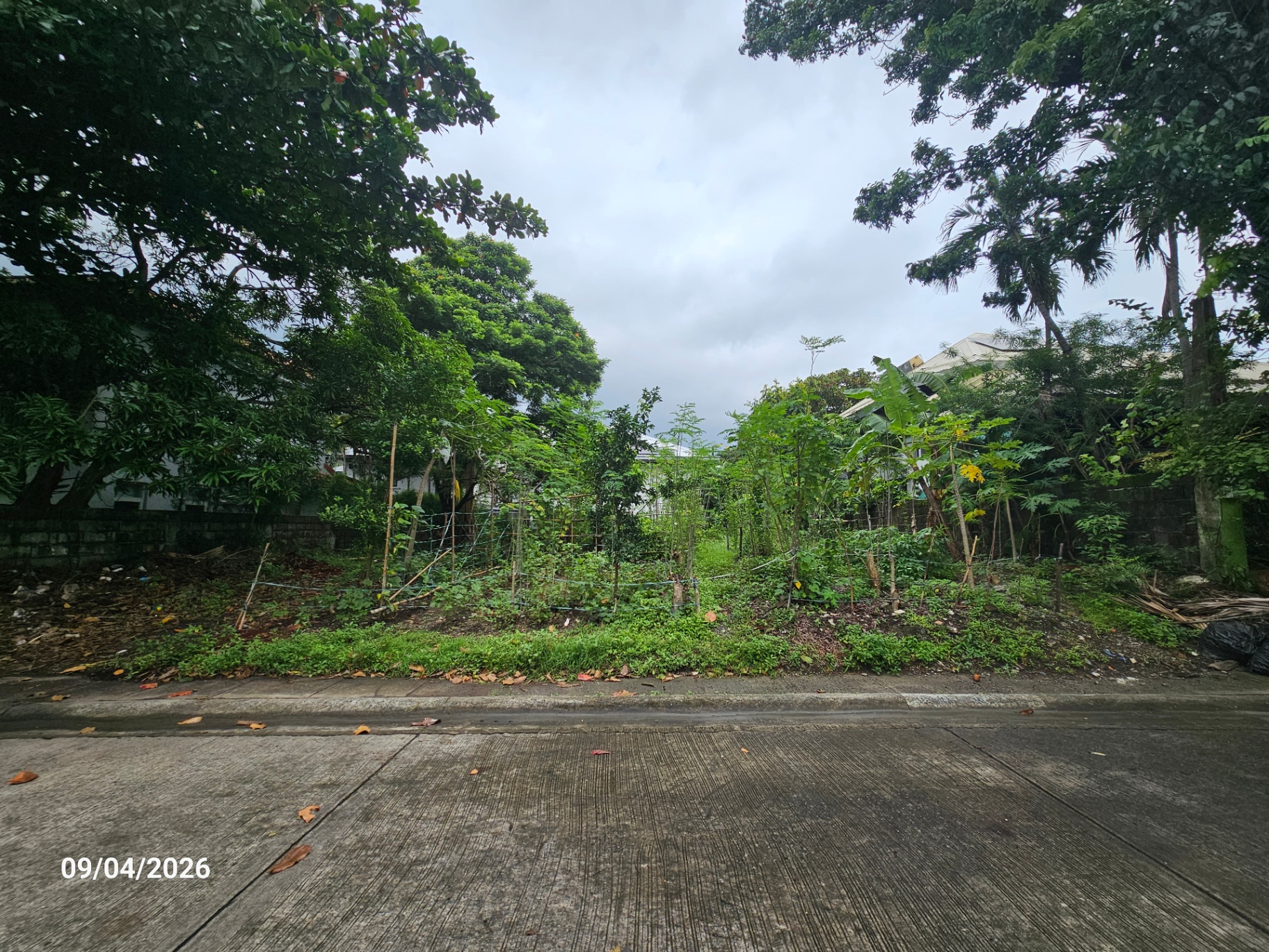 The Ayala Alabang South-Facing Vacant Lot