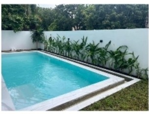 Swimming pool bordered by a planted garden wall