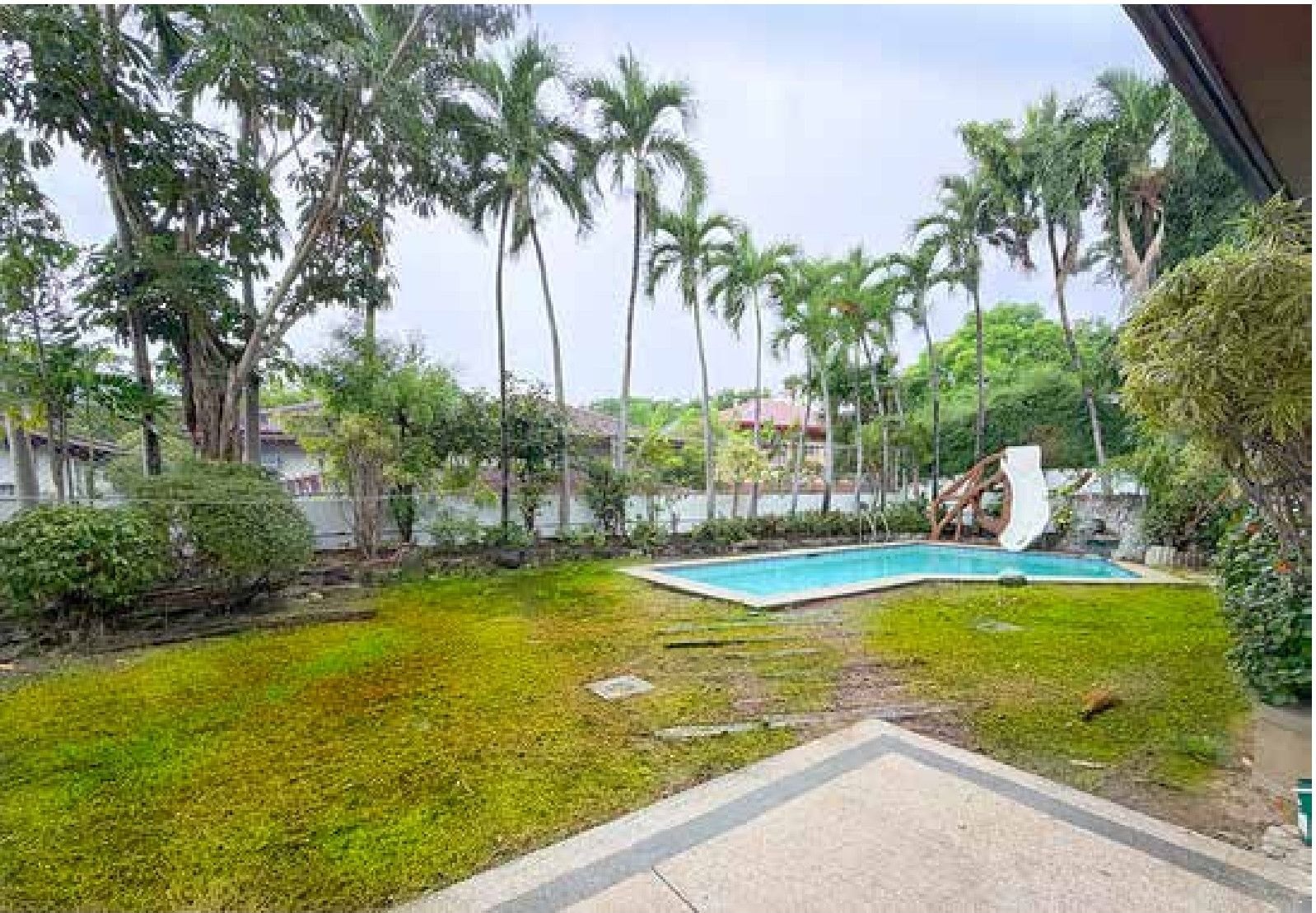 Swimming pool set within a huge landscaped yard framed by palms