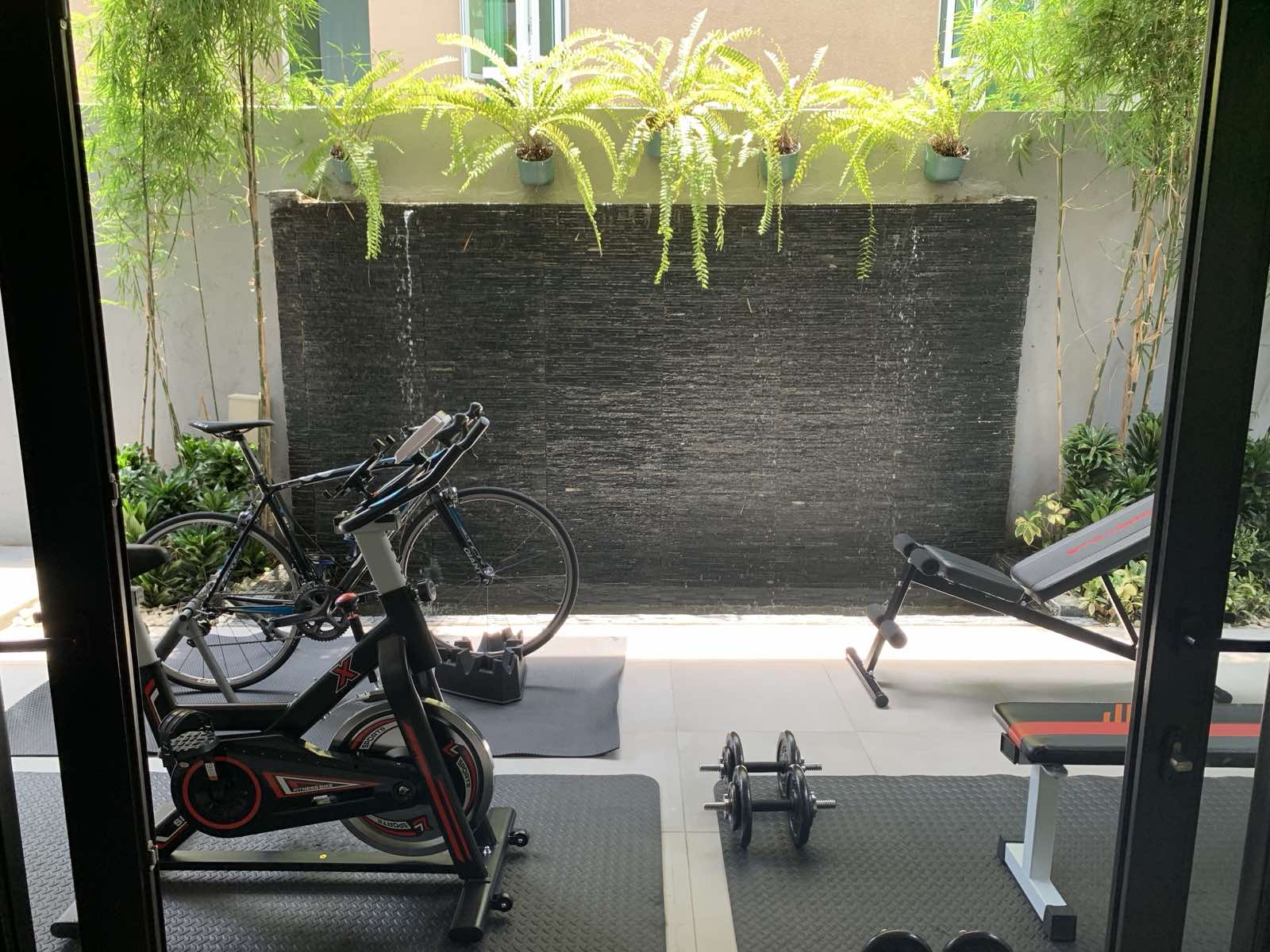 Indoor-outdoor gym opening to a stone water wall framed by ferns and bamboo