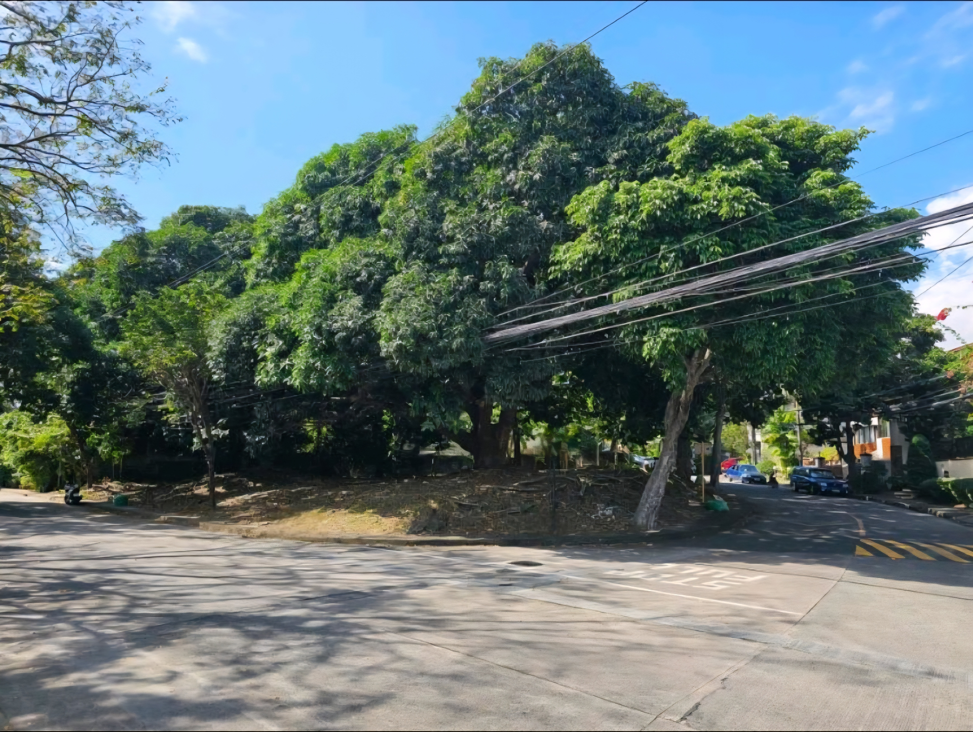 The Ayala Alabang Corner Prime Lot