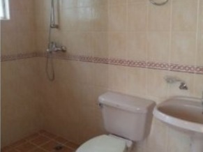 Tiled toilet and bath with shower area